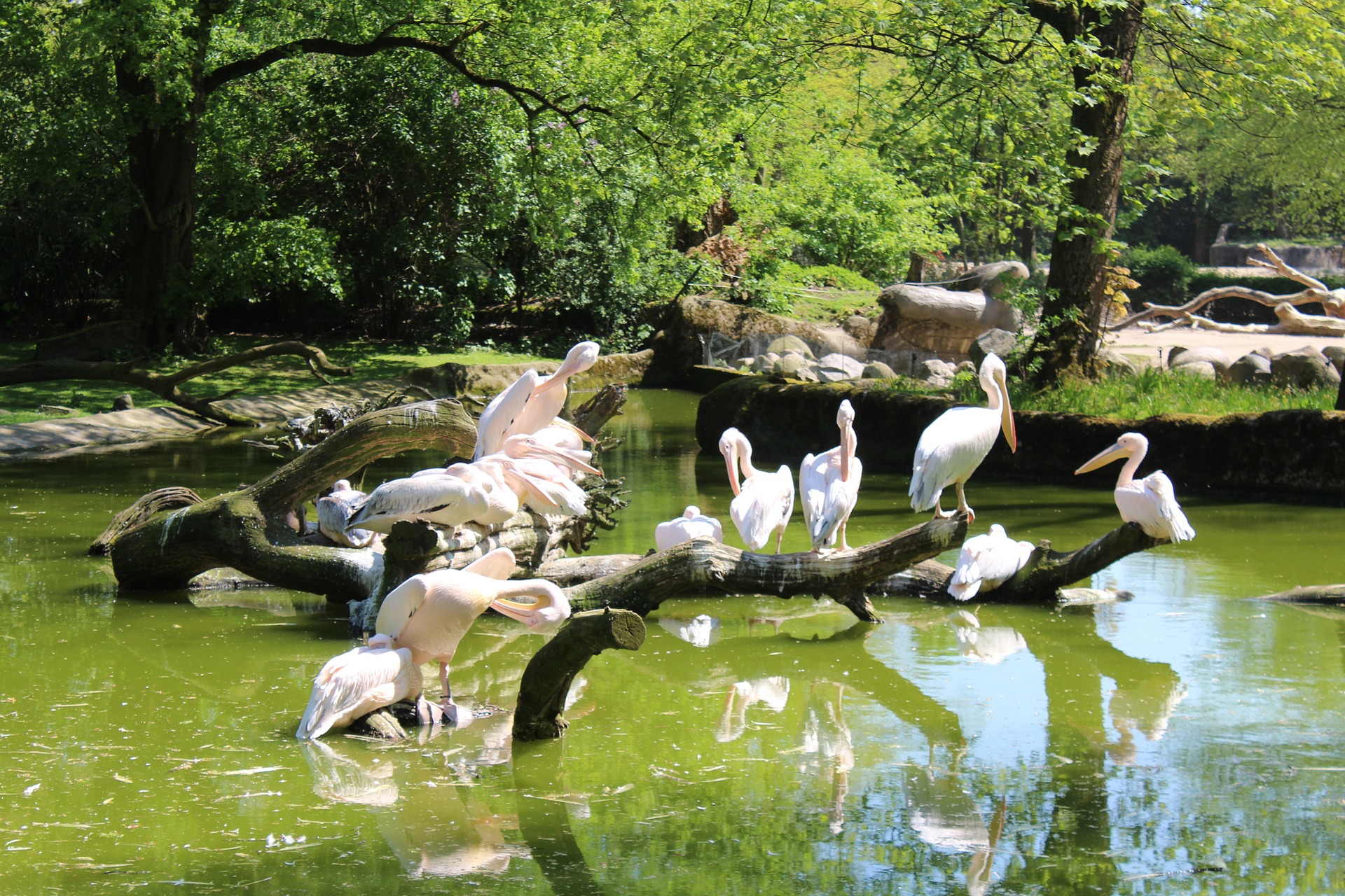 Tierpark Hamburg - 2000 Tiere warten auf euch - HH zu zweit